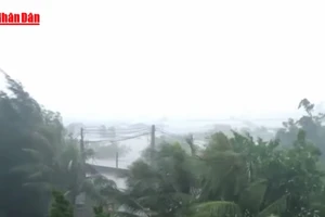 [Video] Chủ động ứng phó mưa lớn, rét đậm, rét hại và gió mạnh trên biển