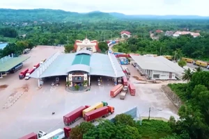 [Video] Lần đầu xuất nhập khẩu Việt Nam vượt mốc 900 tỷ USD