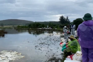 [Video] 18 ha đất sản xuất bị ảnh hưởng do sự cố tràn dầu tại Dung Quất