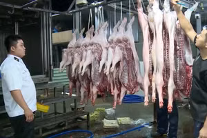 [Video] Hà Nội vận hành hệ thống quản lý, truy xuất nguồn gốc an toàn thực phẩm từ 15/4