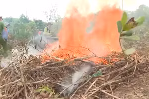 [Video] Cảnh báo nguy cơ cao xảy ra cháy rừng trong tháng 4/2026