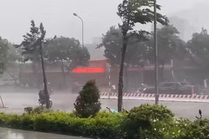 [Video] Cảnh báo mưa dông kèm lốc, sét, mưa đá ở Bắc Bộ từ chiều tối nay (3/4)