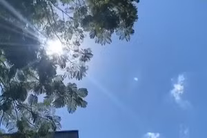 [Video] Tháng 7, Bắc Bộ và Trung Bộ nắng nóng nhiều ngày, Nam Bộ dự báo đón 2-4 đợt mưa lớn
