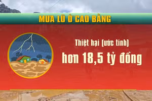[Video] Mưa lũ ở Cao Bằng làm thiệt hại hơn 18,5 tỷ đồng
