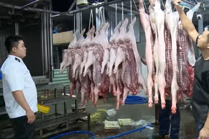 [Video] Thủ tướng yêu cầu chấn chỉnh kiểm soát giết mổ, xử lý nghiêm vi phạm an toàn thực phẩm