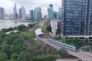 [Video] TP Hồ Chí Minh miễn phí xe buýt và Metro số 1 trong ngày bầu cử 15/3