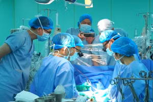 [Video] Trái tim xuyên Việt, mang lại sự sống cho bệnh nhi 11 tuổi