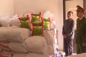 [Video] Khởi tố đối tượng buôn, bán gạo giả nhãn hiệu