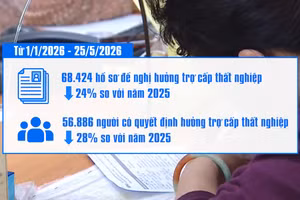 [Video] TP Hồ Chí Minh: Hồ sơ hưởng trợ cấp thất nghiệp giảm hơn 24% trong 5 tháng đầu năm