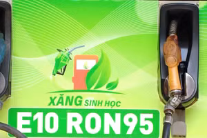 [Video] Kiểm tra, giám sát chất lượng xăng E10 tại nhiều địa phương