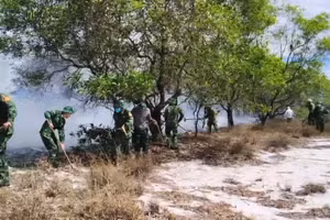 [Video] Điều tra nguyên nhân vụ cháy rừng phòng hộ ven biển tại Quảng Trị
