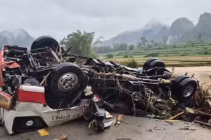 [Video] Mưa lớn, dông lốc gây thiệt hại hơn 10 tỷ đồng tại nhiều địa phương