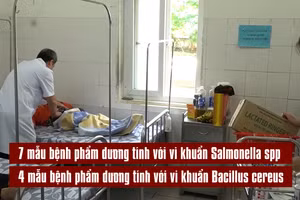 [Video] Phát hiện vi khuẩn Salmonella và Bacillus trong vụ ngộ độc bánh mì ở Quảng Trị