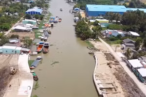 [Video] Xâm nhập mặn tại Đồng bằng sông Cửu Long tăng dần vào cuối tuần