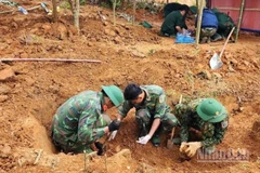 Đội Quy tập hài cốt liệt sĩ Đoàn Kinh tế-Quốc phòng 337 tìm kiếm, cất bốc tại khu vực thôn Xa Re, xã Khe Sanh, tỉnh Quảng Trị.