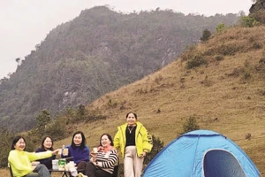 Du khách tham quan, trải nghiệm tại đồi cỏ Phan Thanh.