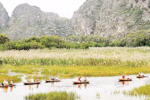 Khu bảo tồn ngập nước Vân Long, tỉnh Ninh Bình, nơi sinh sống của nhiều loài động, thực vật quý hiếm, đặc hữu là quần thể voọc mông trắng. 