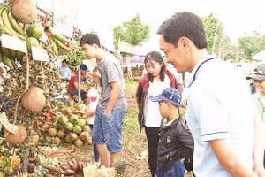 Gian hàng trái cây tại Lễ hội Sông nước miệt vườn ở cồn Mỹ Phước.