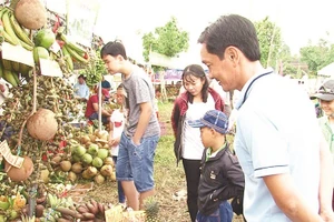 Gian hàng trái cây tại Lễ hội Sông nước miệt vườn ở cồn Mỹ Phước.