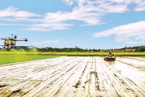 Cơ giới hóa trong trồng lúa chất lượng cao ở Hợp tác xã Tiến Thuận, thành phố Cần Thơ.