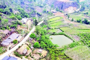 Đường từ trung tâm xã biên giới Lóng Phiêng vào bản Đin Chí đã được bê-tông hóa, giúp người dân đi lại thuận tiện cả bốn mùa.