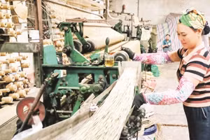 Chiếu cói An Vũ dày, mềm, dẻo rất được khách hàng ưa chuộng.