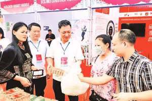 Sở Công thương tích cực hỗ trợ các doanh nghiệp, hợp tác xã tham gia hội chợ để giới thiệu, quảng bá, mở rộng kênh bán hàng. (Ảnh HẰNG NGA)