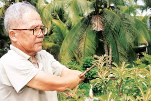 Thương binh Nguyễn Văn Hoàng vẫn tích cực lao động, sản xuất dù bị thương nặng. 