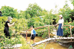 Du khách tham quan vườn du lịch sinh thái miệt vườn tại thành phố Cần Thơ. 