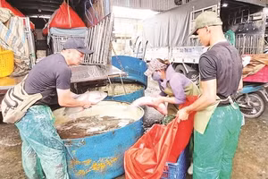 Hoạt động kinh doanh thủy sản tại chợ cá Yên Sở.