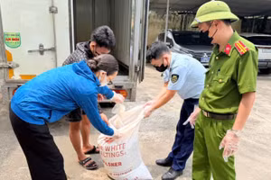 Số lòng lợn phát hiện đang phân hủy, bốc mùi hôi thối. (Ảnh: Chi cục Quản lý thị trường tỉnh Hưng Yên cung cấp)