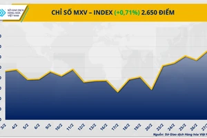 Chỉ số MXV-Index.