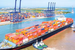 Hoạt động xuất nhập khẩu hàng hóa tại cảng nước sâu Lạch Huyện, Hải Phòng. (Ảnh: ĐÔNG GIANG)