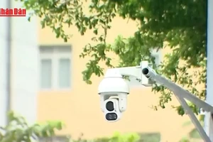 [Video] Thí điểm camera AI tại Hà Nội: Vi phạm giao thông "lộ diện" hàng loạt