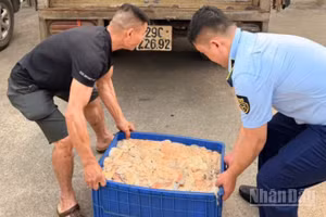 Lòng lợn bốc mùi hôi thối bị các lực lượng chức năng tỉnh Hưng Yên phát hiện.