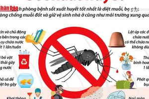 [Video] Chủ động phòng, chống sốt xuất huyết những tháng cuối năm