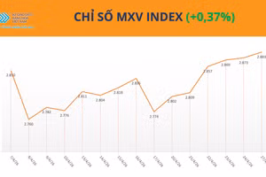 Chỉ số MXV-Index.
