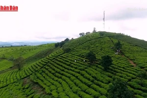 [Video] Đồng bộ giải pháp, tạo đột phá cho du lịch Việt Nam