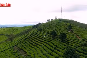 [Video] Đồng bộ giải pháp, tạo đột phá cho du lịch Việt Nam