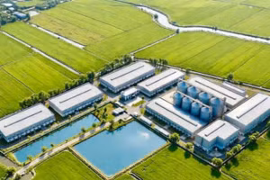 Phối cảnh tổng thể nhà máy chế biến gạo chất lượng cao của Tập đoàn ThaiBinh Seed.