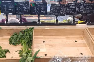 Kệ hàng bày bán các loại rau tại Trung tâm thương mại GO (phường Vũ Phúc, tỉnh Hưng Yên) luôn hết hàng từ rất sớm.