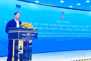 Thứ trưởng Bộ Tài chính Cao Anh Tuấn phát biểu khai mạc hội thảo.