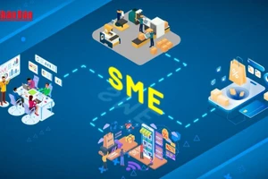 Thúc đẩy doanh nghiệp vừa và nhỏ gắn với phát triển nông nghiệp sạch: Động lực mới cho kinh tế Hà Nội