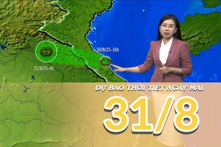 [Video] Dự báo thời tiết đêm nay và ngày mai 31/8/2025: Bão số 6 suy yếu thành áp thấp nhiệt đới