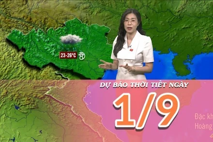 [Video] Dự báo thời tiết ngày 1/9/2025: Mưa giảm ở cả Bắc Bộ và Bắc Trung Bộ 