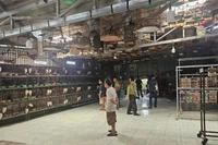 Cơ quan chức năng kiểm tra một cơ sở nuôi chim trái phép.