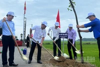 "Tết trồng cây đời đời nhớ ơn Bác Hồ" là dịp để các địa phương vun trồng cây xanh cho vùng đất mới.