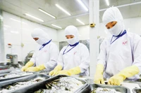 Sơ chế, chế biến thủy sản xuất khẩu tại doanh nghiệp trên địa bàn thành phố Cần Thơ. (Ảnh ANH MINH)