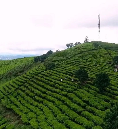 [Video] Đồng bộ giải pháp, tạo đột phá cho du lịch Việt Nam