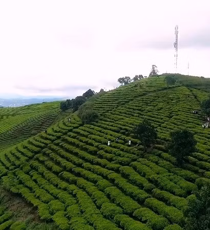 [Video] Đồng bộ giải pháp, tạo đột phá cho du lịch Việt Nam
